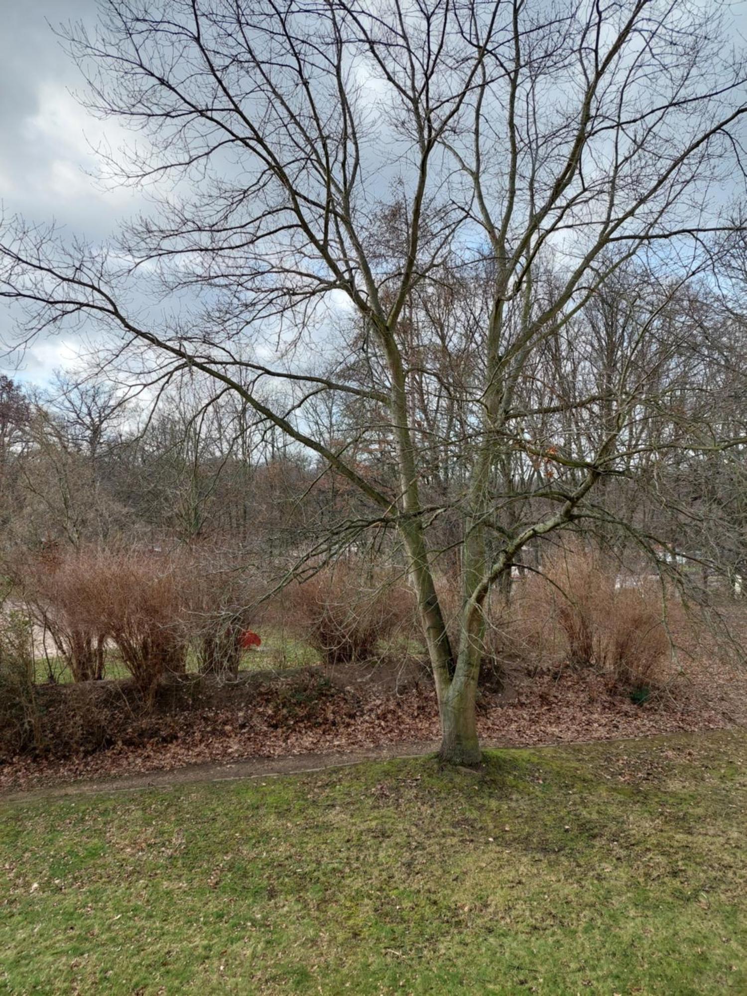 Apartament Ruheort Zwenkau Zewnętrze zdjęcie